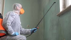 Best Biohazard Mold Removal  in Castlewood, VA